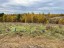 Продажа земельного массива Массив Скотное