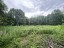 Продажа земельного участка Светлое