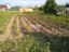 Продажа земельного участка Вблизи д.Малое Карлино в/г 8