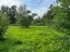 Продажа земельного участка Красное Село, к.ело