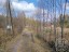 Продажа земельного участка Староселье