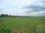 Продажа земельного массива Новый Бор