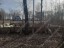 Продажа земельного участка Домодедово, Растуново