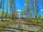 Продажа земельного участка Ногинск, 6-ой Богородский, к.нт