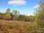 Продажа земельного участка Кашира, Тарасково, Дачная