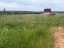 Продажа земельного участка Лампово, Центральная