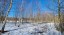 Продажа земельного участка Всеволожск, Румболовская