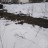 Продажа земельного участка Глобицы
