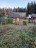 Продажа земельного участка Речное(п.Лебедевка), к.нт.