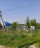 Продажа земельного участка Флора-2