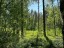 Продажа земельного участка Васкелово, Поперечная