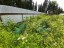 Продажа земельного участка Березняки