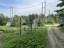 Продажа земельного участка Приозерск, Новгородская, 36