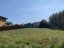 Продажа земельного участка Истра, Агрогородок