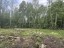 Продажа земельного участка Ларионово, Ольховая