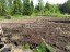 Продажа земельного участка Рыбацкое