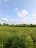 Продажа земельного участка Лампово, Центральная