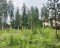 Продажа земельного участка Сертолово, Березовая Роща, 19