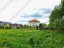 Продажа земельного участка Красногорск, Опалиха, Аникеевская
