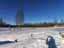 Продажа земельного участка Канисты, Музыкальная