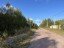 Продажа земельного участка имени Морозова