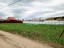 Продажа земельного участка Электросталь, Елизаветино, Фермерская
