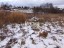 Продажа земельного участка Колчаново
