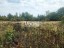 Продажа земельного участка Мыс