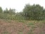 Продажа земельного участка Орехово-Зуево, Беливо