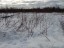 Продажа земельного участка Электрогорск, Советская