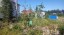 Продажа земельного участка Сосновый Бор