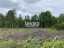 Продажа земельного участка Ларионово