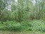 Продажа земельного участка Балтийское, Черёмуховая