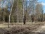 Продажа земельного участка Васильево, Ольховая