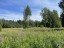 Продажа земельного участка Яшино