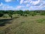 Продажа земельного участка Луховицы, Григорьевское, к.ело