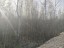 Продажа земельного участка Электрогорск, Советская