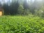 Продажа земельного участка Восход(п.Селезнево), к.нт.