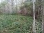 Продажа земельного участка Торковичи, Дудоровская