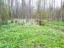 Продажа земельного участка Бор