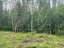Продажа земельного участка Ларионово, Ольховая