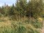 Продажа земельного участка 5 км севернее д Матокса, Авлога 1, к.нт