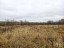 Продажа земельного массива Порожки