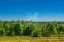 Продажа земельного участка Красногорск, Тимошкино