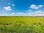 Продажа земельного участка Виллози