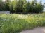 Продажа земельного участка Бор