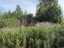 Продажа земельного участка Ильичёвская, Симагинская