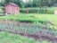 Продажа земельного участка Луховицы, к.нт