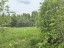 Продажа земельного участка Выборг, Младших Командиров