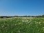 Продажа земельного участка Хязельки